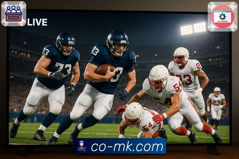 MK体育平台介绍